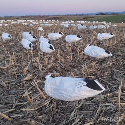 Snow Goose Windsock Decoys 2.0 New and Improved